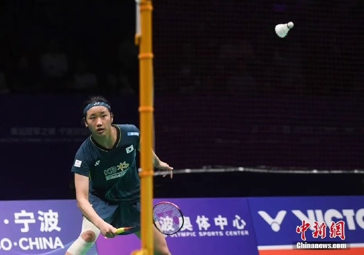 篮的合同纠 篮的合同纠