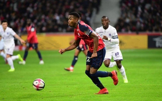 格与球迷预 格与球迷预